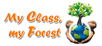 My class, my forest